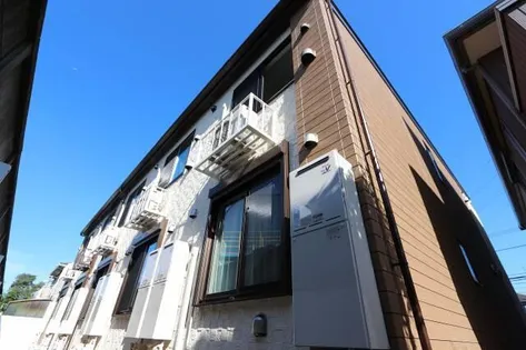 サイプレスの画像