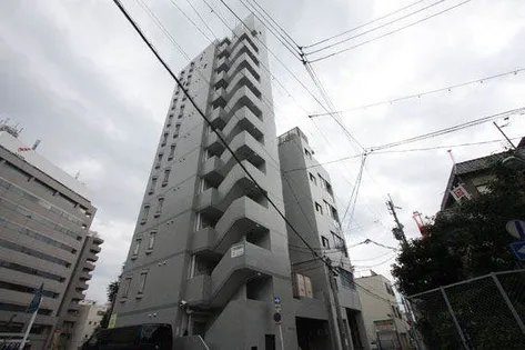 ヒョウノビルの画像