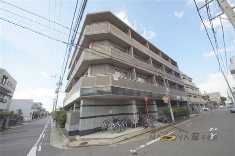 サンドリヨンゴキソの画像