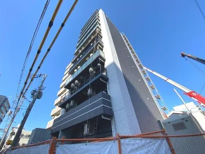 MJC大阪リベルテの画像