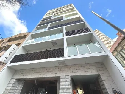 LAULE'A KASHIMAの画像