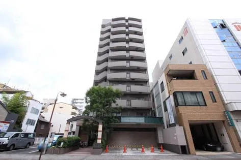 アイン橘の画像