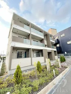 デンテ ディ レオーネの画像