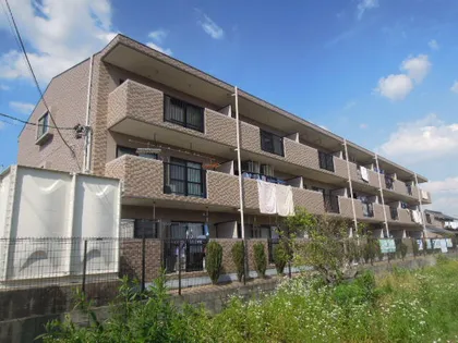 Tステージミカーレの画像