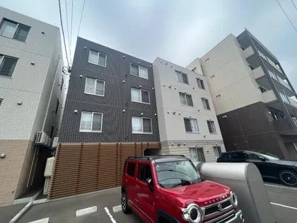 テラスケヤキの画像