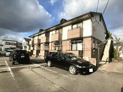 プリマベーラ春の画像