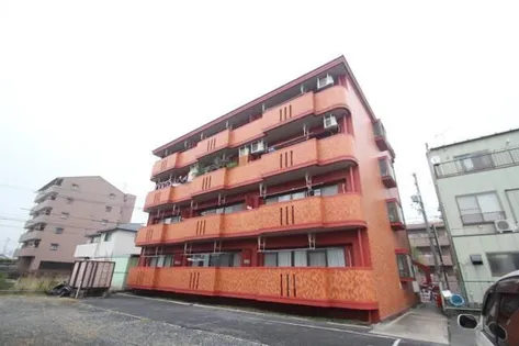 サンテラス花の木の画像