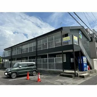 サープラスⅡ野菊の画像