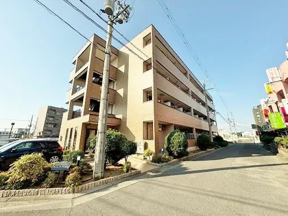 カリーノRプリマヴェーラの画像