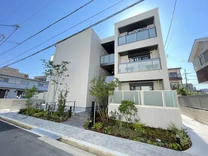 SHAMAISON TELA BIANCAの画像