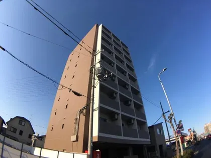 プログレスアペゼの画像