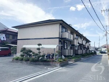 ソフィアヴィーブルの画像