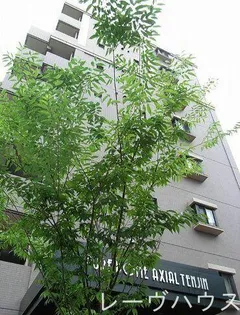 福岡県福岡市中央区渡辺通5丁目【マンション】の外観