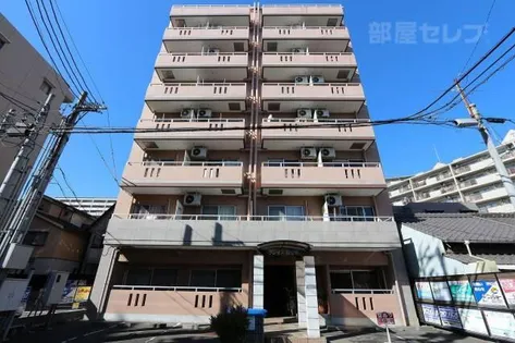 グレイス日比野の画像