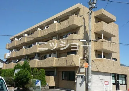 ドムール藤浪の画像