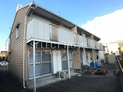 タウニィニューパインの画像