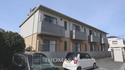 チェリーブロッサムの画像