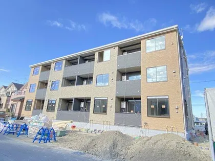 アムールの画像