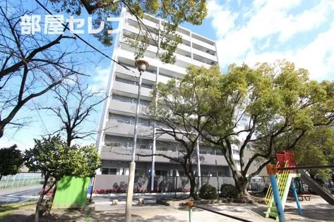 ル ソレイユの画像