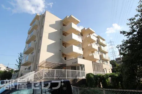 シェモアの画像