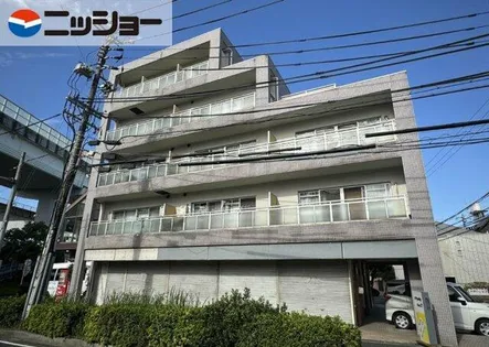 ステップフィールドの画像