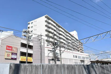 URパルネス前後の画像