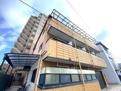 プルス野中南の画像