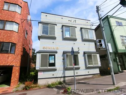 ソニア緑の画像