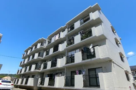 ジェミニ明日香の画像