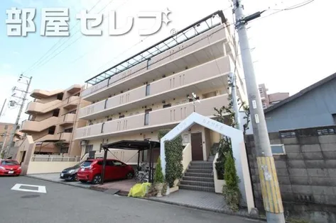 サンダンケの画像