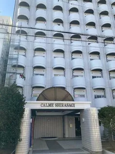 カルム白鷺の画像