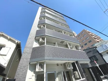 EIJU TSUKAMOTOの画像