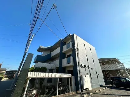 ブルームの画像