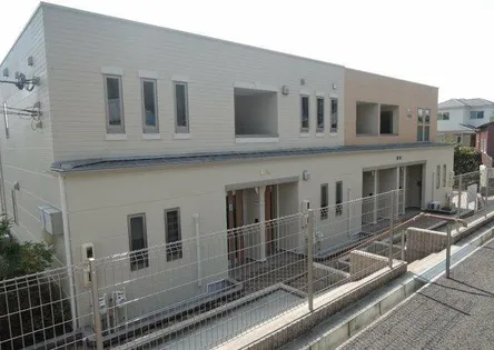 プリムローズの画像