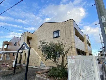 ペニーレインAの画像