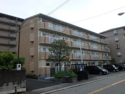 パストラル菅原の画像