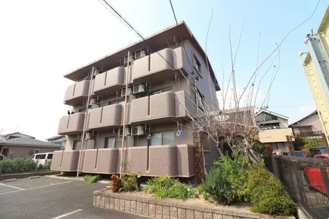 ソレアードの画像