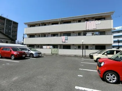 エクセルさつきの画像