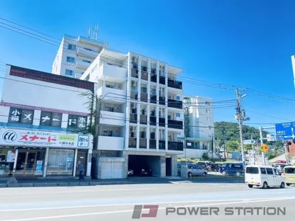 BLAST稲穂の画像