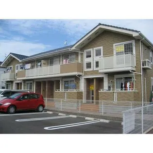 ニューフラワーY Kの画像