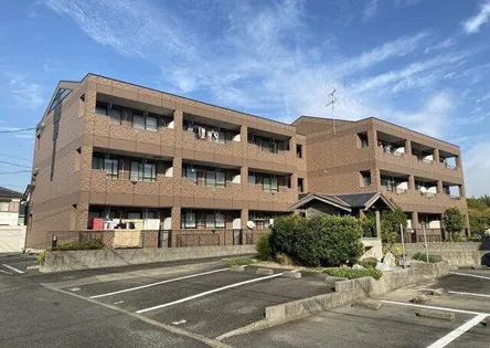 プリムローズの画像