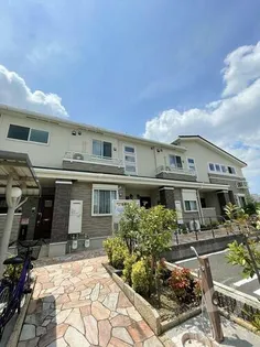 ルーチェの画像