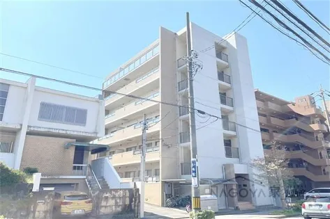 ウィル猫洞の画像