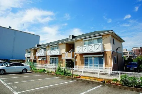 スウィートオクトパスの画像