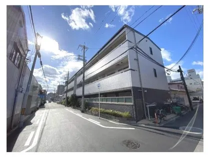 エヴァーホワイトの画像