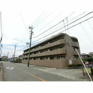 ルピナス橘の画像