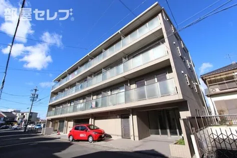 シュテルン中柳の画像