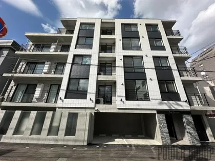 オルセーリュクス山鼻の画像