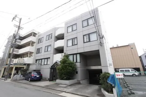 プリズム岩塚【4階】の外観