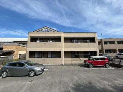 ルピナスの画像